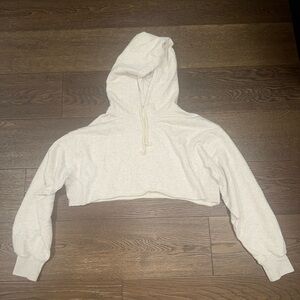 Aritzia Cropped Hoodie